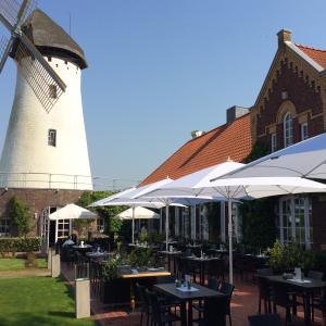 Die Mühle fest im Blick